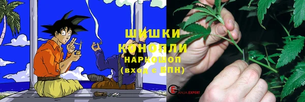 МДПВ Киренск