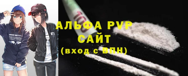 молекула духа Кинешма