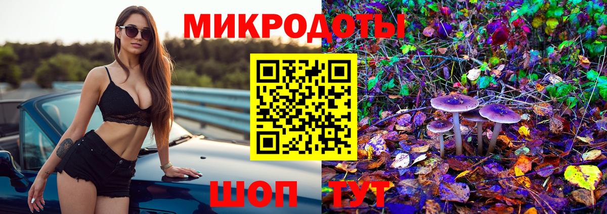 Галлюциногенные грибы Psilocybine cubensis  Вход с VPN  Галлюциногенные грибы мицелий  Черемхово 