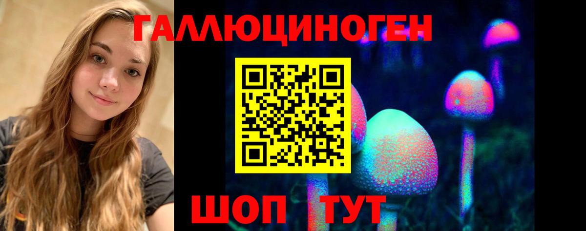 Псилоцибиновые грибы Psilocybine cubensis Черемхово